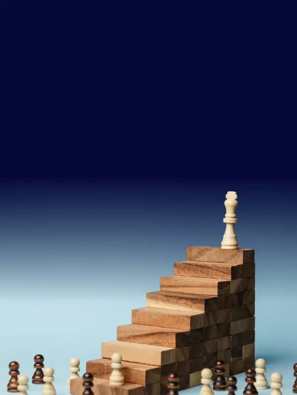 Board & Executive Leadership
