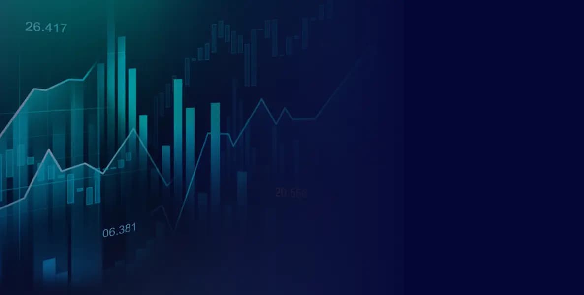Revenue Growth & Operational Execution