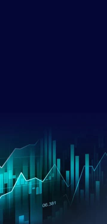 Revenue Growth & Operational Execution