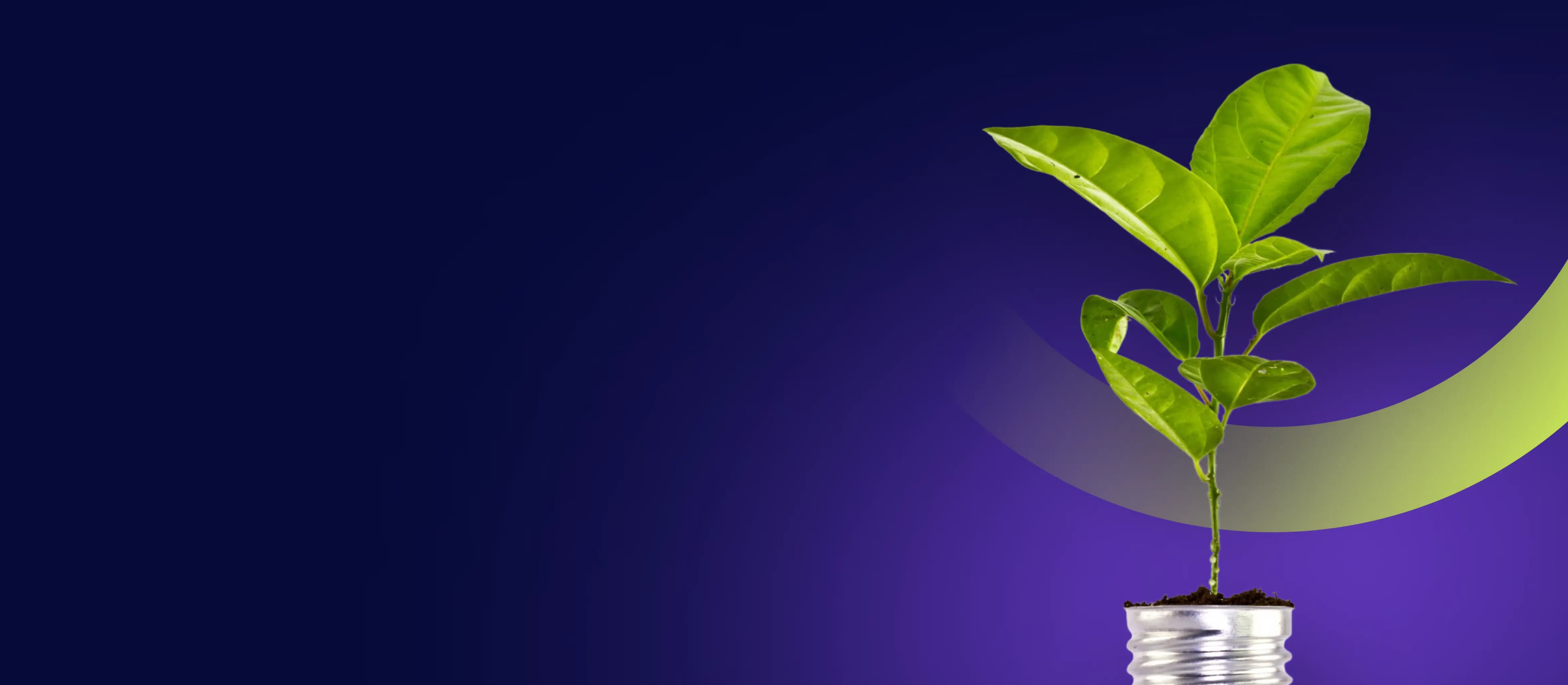 Energy, Power & Natural Resources
